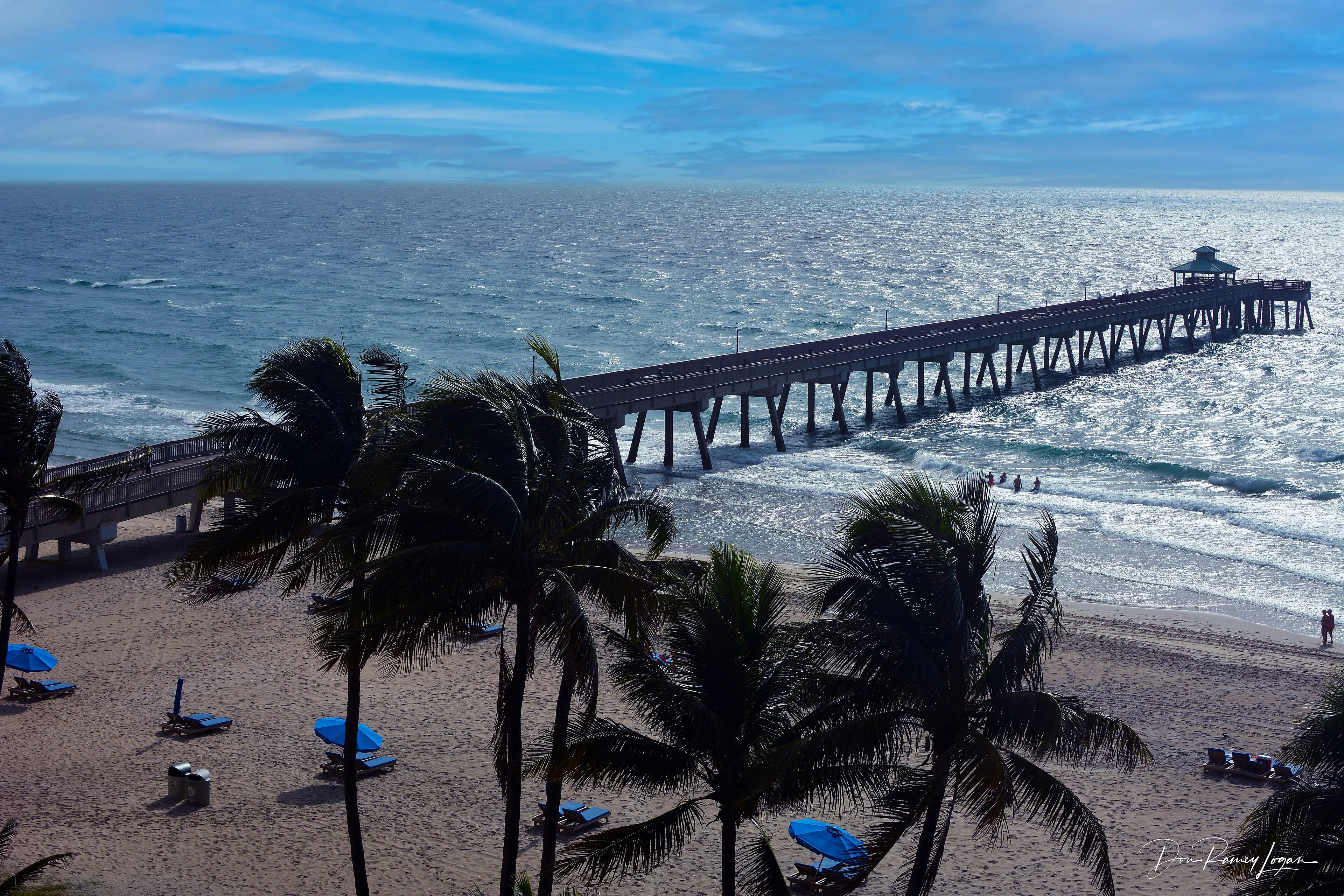 Deerfield Beach pier and palm trees seen from above the sand